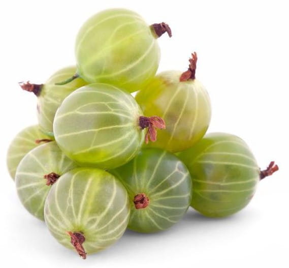 Embalagem grande (kg) - groselhas frescas BIO (polonês) (aproximadamente 4 kg)