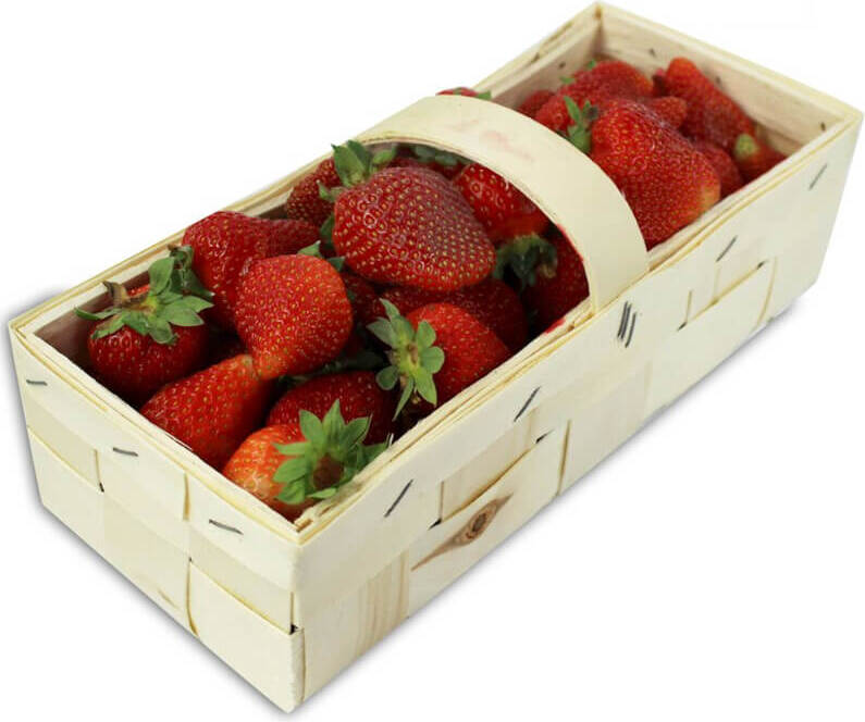 Čerstvé jahody BIO (polské) (balení cca 2,00 kg)