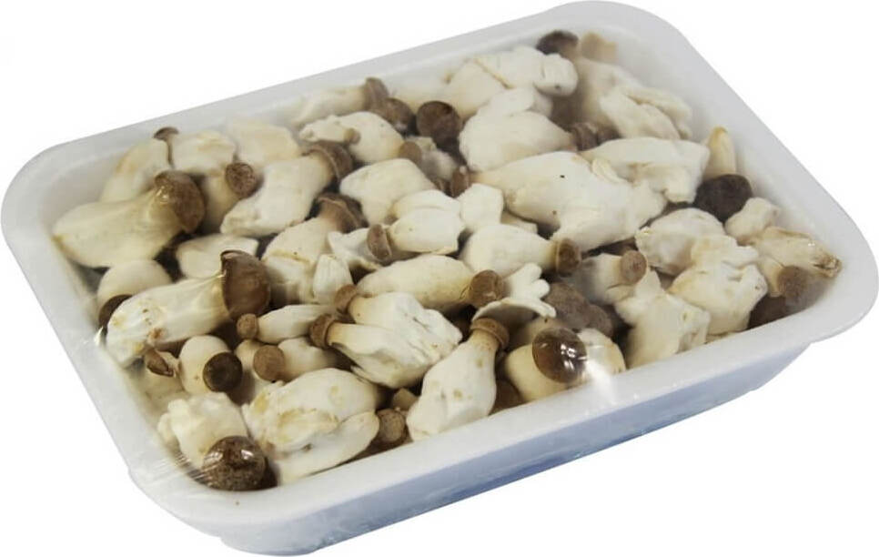Nấm Eryngii Baby (Steinpilze) tươi hữu cơ (Ba Lan) (khoảng 200g)